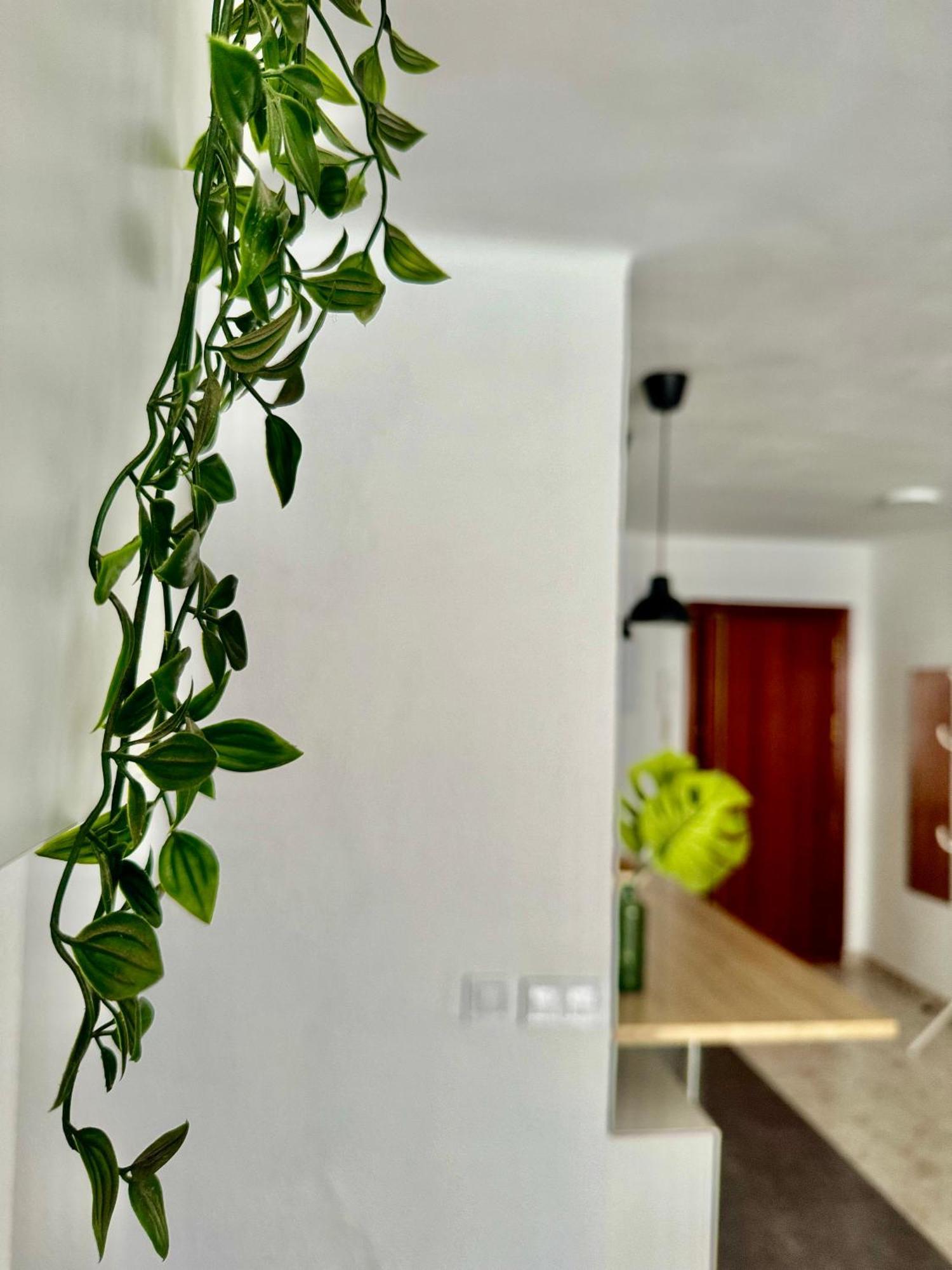 Acogedor Apartamento En 马拉加 外观 照片